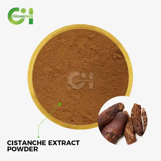 cistanche extract powder